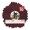 Dark Red Suede Mat Board for 4x4 Inch Frames - Circle Opening for 2x2 Photos